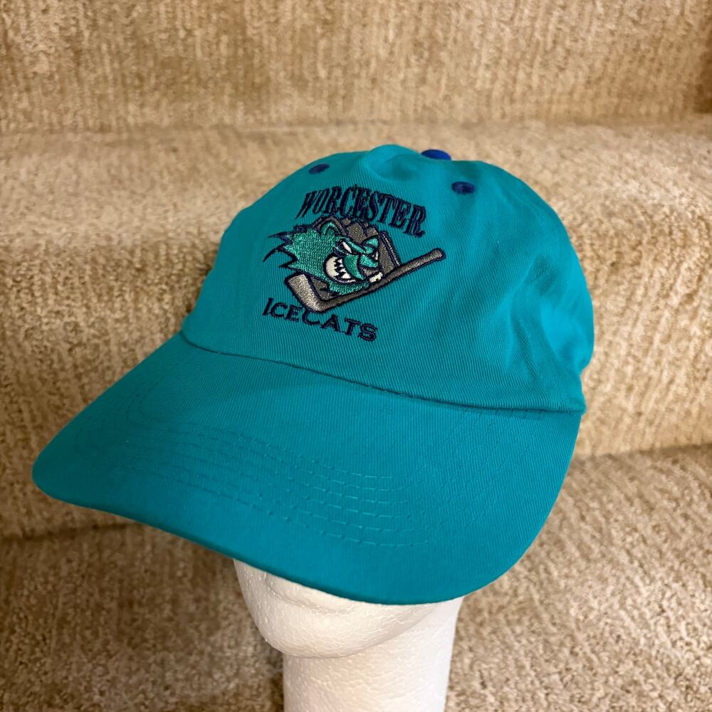 Worcester IceCats Ice Cats Railers AHL ECHL Hockey Hat Retro Men's Snapback Cap